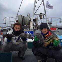 シーランチ 釣果