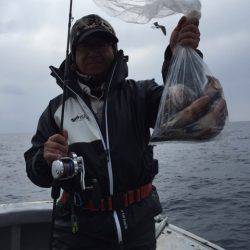 シーランチ 釣果