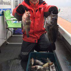 シーランチ 釣果