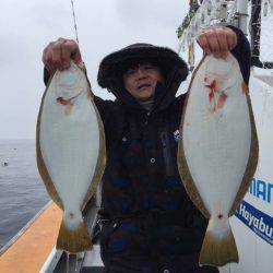 シーランチ 釣果