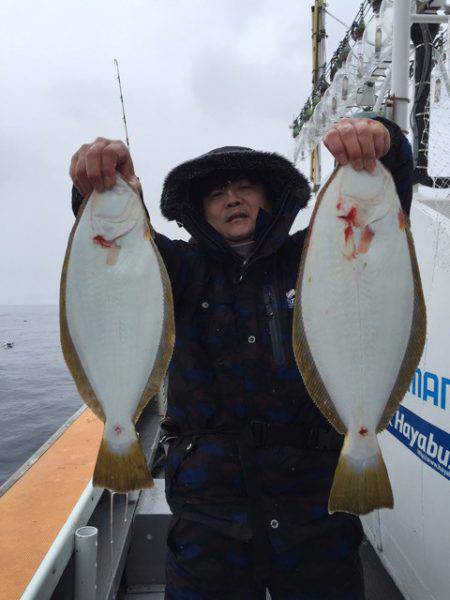 シーランチ 釣果