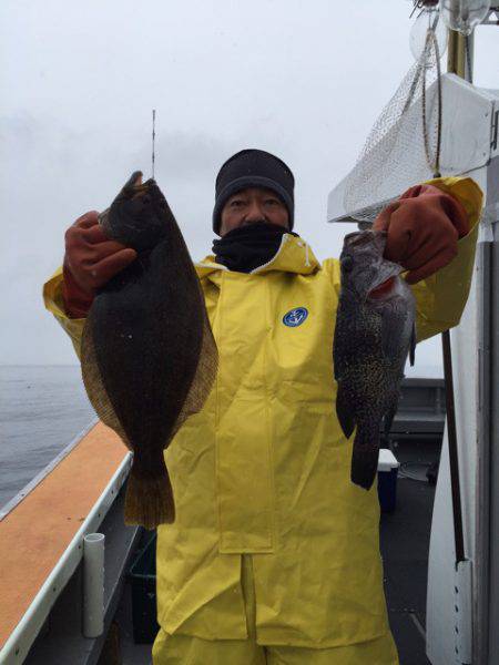 シーランチ 釣果