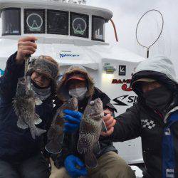 シーランチ 釣果