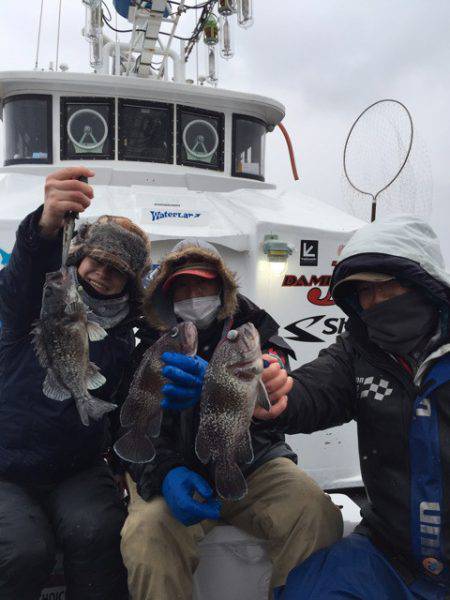 シーランチ 釣果