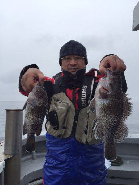 シーランチ 釣果