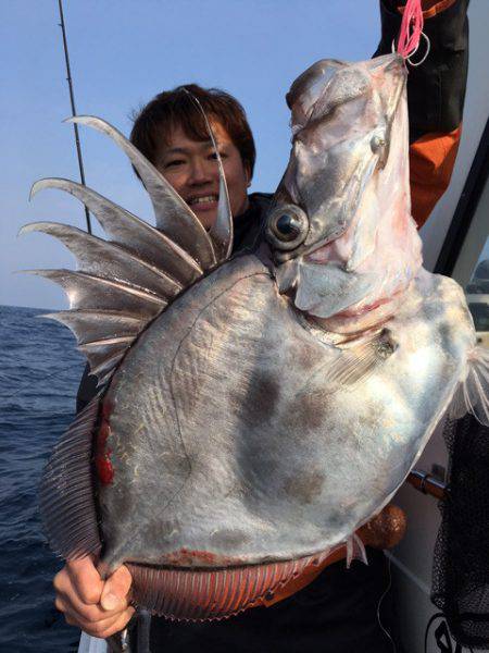 エヌスタイル 釣果
