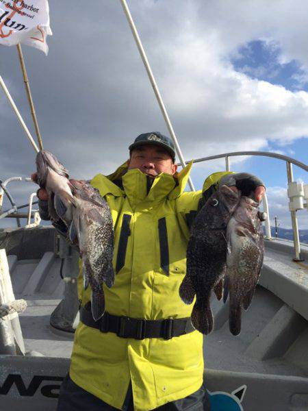 シーランチ 釣果