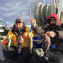 シーランチ 釣果