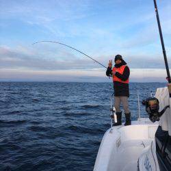 うさぎ丸 釣果