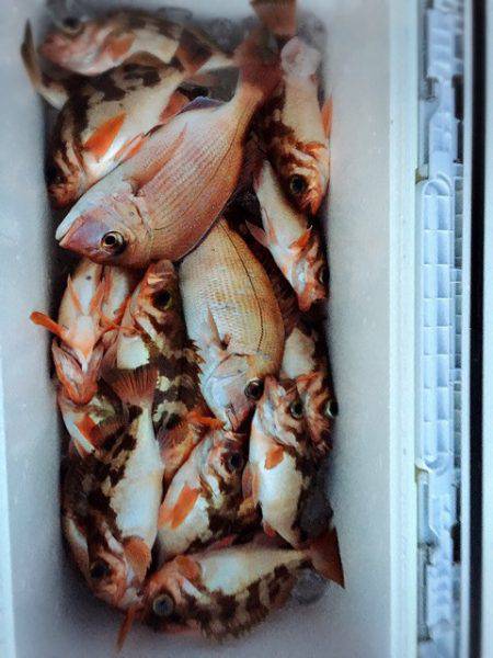 うさぎ丸 釣果