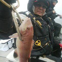 海季丸（みきまる） 釣果