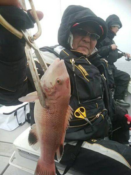 海季丸（みきまる） 釣果