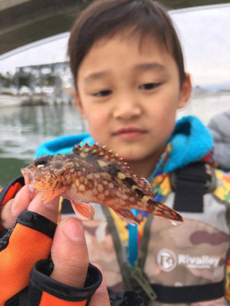 うさぎ丸 釣果