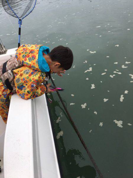 うさぎ丸 釣果