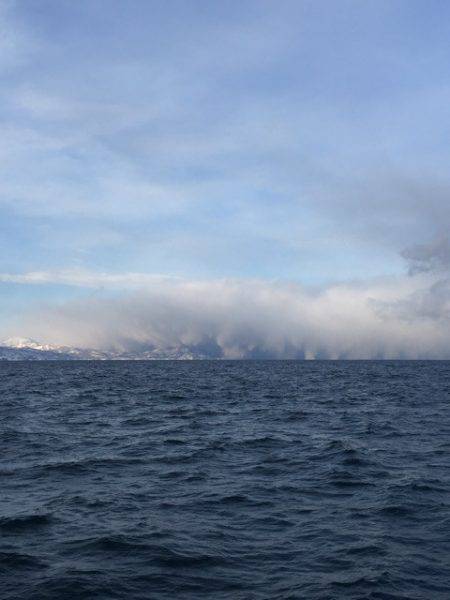 シーランチ 釣果