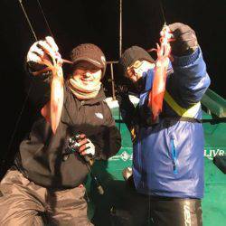 渡船屋たにぐち 釣果