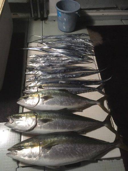 エムズジャーク（M’s JERK） 釣果