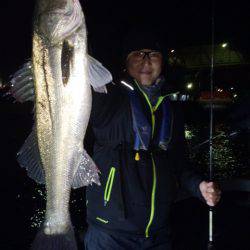 SeaRide(シーライド) 釣果