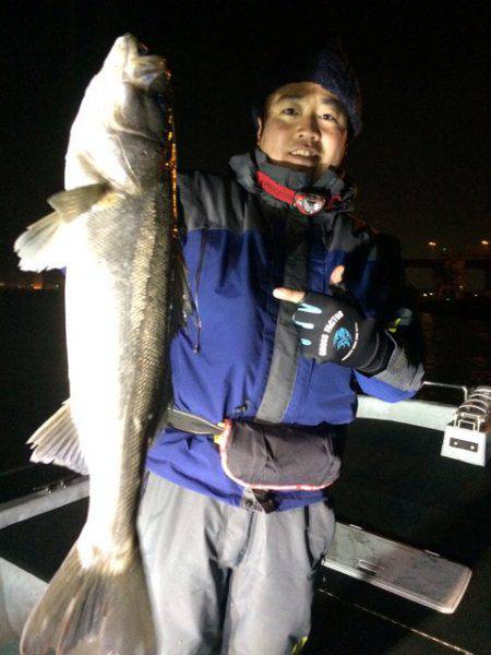 SeaRide(シーライド) 釣果