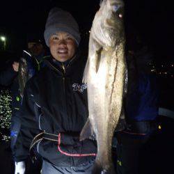 SeaRide(シーライド) 釣果