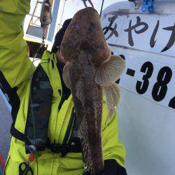 みやけ丸 釣果