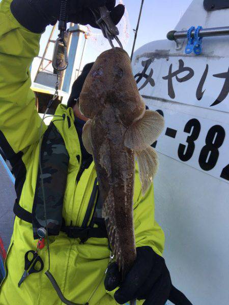 みやけ丸 釣果