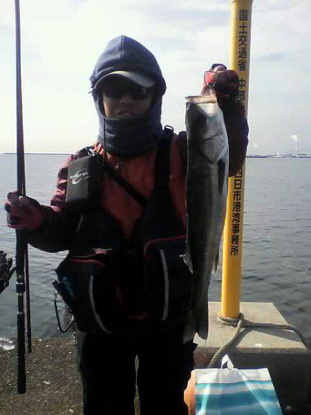 KO-SHIN丸 釣果