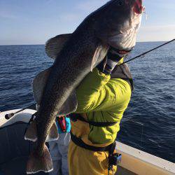 エヌスタイル 釣果