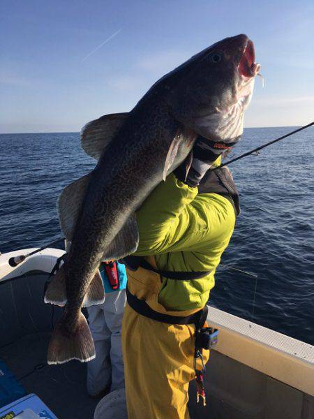 エヌスタイル 釣果