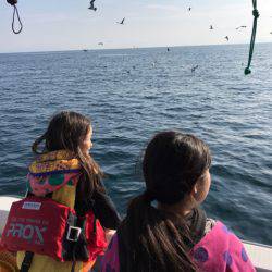 龍神丸(鹿児島) 釣果