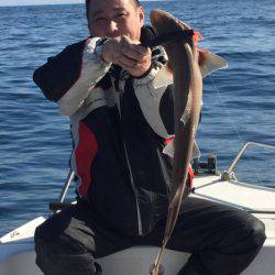 「LaGooN」蒼陽丸 日和号 釣果