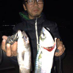 龍神丸(鹿児島) 釣果