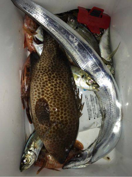 龍神丸(鹿児島) 釣果