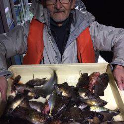 ヤザワ渡船 釣果