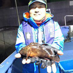 ヤザワ渡船 釣果