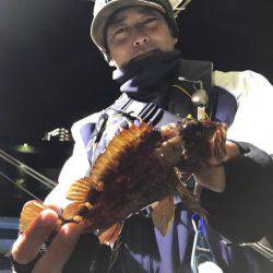 ヤザワ渡船 釣果