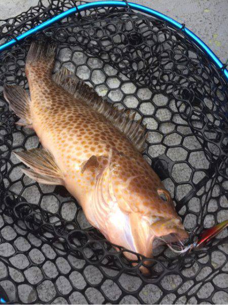 第二 海洋丸 釣果