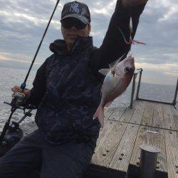 第二 海洋丸 釣果