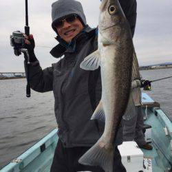 アマテラス 釣果