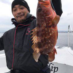 龍神丸(鹿児島) 釣果