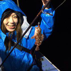 ヤザワ渡船 釣果