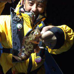 ヤザワ渡船 釣果