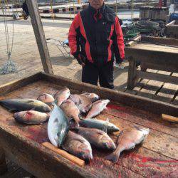 釣り堀水宝 釣果