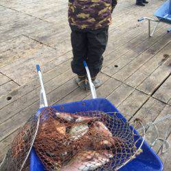 釣り堀水宝 釣果
