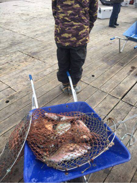 釣り堀水宝 釣果