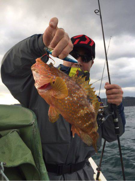 「LaGooN」蒼陽丸 日和号　 釣果