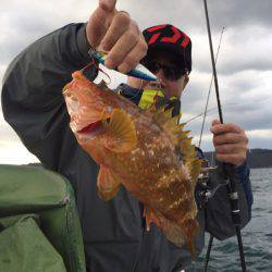 「LaGooN」蒼陽丸 日和号 釣果