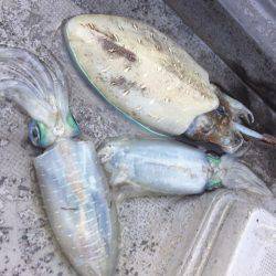 第二 海洋丸 釣果