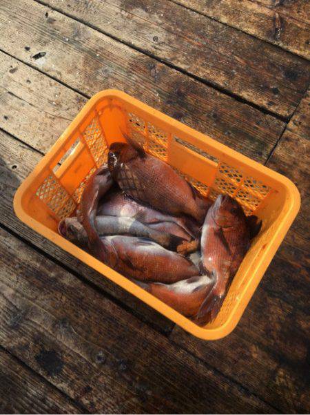 釣り堀水宝 釣果