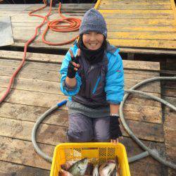 釣り堀水宝 釣果